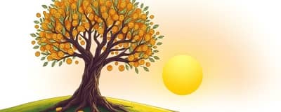 The Retirement Playbook: Securing Your Financial Future