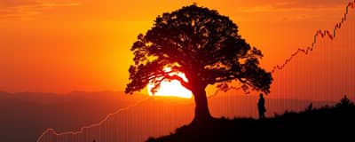 The Power of Patience: Long-Term Market Success